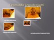 Presentations 'Leonardo da Vinči gleznojumi un izgudrojumi', 9.