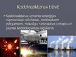 Presentations 'Kodolreaktori un to darbība', 4.