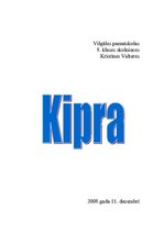 Summaries, Notes 'Kipra', 1.