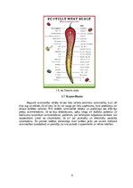 Practice Reports 'Prakse ZS "Ciprese" un APP "Dārzkopības institūts"', 9.