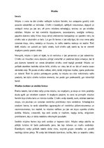 Summaries, Notes 'Mūzika', 1.