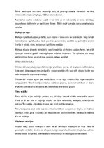 Summaries, Notes 'Mūzika', 6.