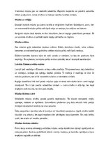Summaries, Notes 'Mūzika', 8.