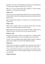 Summaries, Notes 'Mūzika', 10.