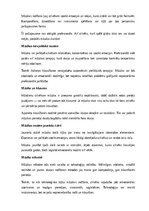 Summaries, Notes 'Mūzika', 11.