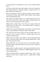 Summaries, Notes 'Mūzika', 13.