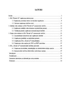 Term Papers 'SIA "Birzes LS" saimnieciskās darbības analīze', 4.