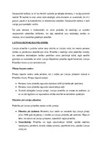 Summaries, Notes 'Konstitucionālo tiesību, administratīvo tiesību un administratīva procesa tiesīb', 13.