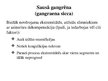 Presentations 'Gangrēna', 10.