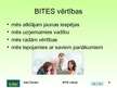 Presentations 'Bite Latvija', 6.