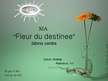Business Plans 'SIA "Fleur du Destinee" biznesa plāns', 34.