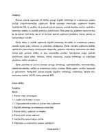 Practice Reports 'Digitālā mārketinga un e-komercijas procesu analīze uzņēmumā', 2.
