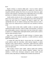 Practice Reports 'Digitālā mārketinga un e-komercijas procesu analīze uzņēmumā', 4.