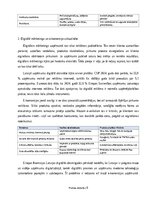 Practice Reports 'Digitālā mārketinga un e-komercijas procesu analīze uzņēmumā', 6.