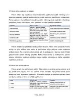 Practice Reports 'Digitālā mārketinga un e-komercijas procesu analīze uzņēmumā', 8.