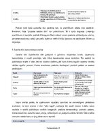 Practice Reports 'Digitālā mārketinga un e-komercijas procesu analīze uzņēmumā', 9.