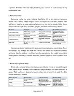 Practice Reports 'Digitālā mārketinga un e-komercijas procesu analīze uzņēmumā', 12.