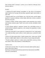 Practice Reports 'Digitālā mārketinga un e-komercijas procesu analīze uzņēmumā', 17.