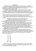 Research Papers 'Синтез белка', 1.