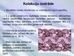 Presentations 'Zīmola apskats: SIA "Lauma Fabrics"', 8.
