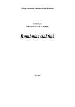Research Papers 'Rumbulas slaktiņš', 1.