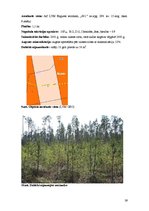 Term Papers 'Meža dabiskā atjaunošanās pēc izlases cirtēm aizsargājamās dabas teritorijās', 39.