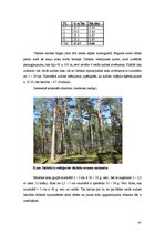Term Papers 'Meža dabiskā atjaunošanās pēc izlases cirtēm aizsargājamās dabas teritorijās', 41.