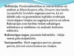 Presentations 'ES aizsargājamie biotopi Latvijā - purvi', 12.