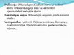 Presentations 'ES aizsargājamie biotopi Latvijā - purvi', 18.