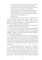 Term Papers 'SIA "LDZ Cargo" darbība un perspektīvas koncerna LDz sastāvā', 10.