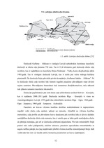Term Papers 'SIA "LDZ Cargo" darbība un perspektīvas koncerna LDz sastāvā', 12.