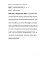 Research Papers 'Jauna telekomunikāciju operatora uzņēmuma modeļa projektēšana', 15.