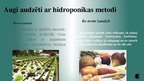 Research Papers 'Hidroponika', 31.