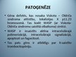 Presentations 'Viskota - Oldriča sindroms', 3.