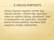 Presentations 'Edvarts Virza', 2.