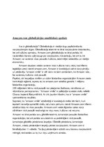 Essays 'Amazon.com globalizācijas analītiskais apskats', 2.