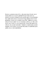 Essays 'Amazon.com globalizācijas analītiskais apskats', 3.