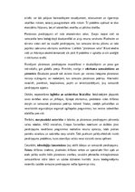 Essays 'Plastmasas piesārņojums un tā ietekme uz okeāniem: vides problēma un risinājumi', 2.