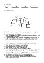 Summaries, Notes 'Iepazīšanās ar Mininet', 3.