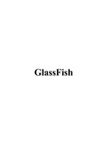 Samples 'GlassFish', 1.