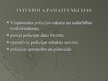 Presentations 'Interpola funkcijas un raksturojums', 12.