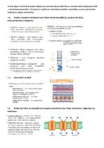 Summaries, Notes 'Fizioloģija', 2.