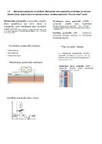 Summaries, Notes 'Fizioloģija', 4.