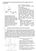 Summaries, Notes 'Fizioloģija', 5.