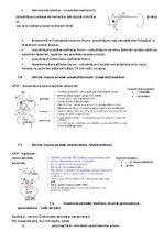 Summaries, Notes 'Fizioloģija', 7.