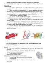 Summaries, Notes 'Fizioloģija', 28.