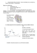 Summaries, Notes 'Fizioloģija', 29.