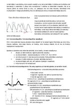 Summaries, Notes 'Fizioloģija', 31.