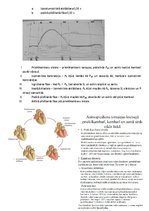 Summaries, Notes 'Fizioloģija', 33.