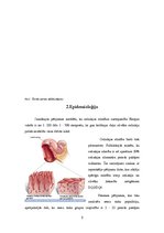 Research Papers 'Celiakija', 5.